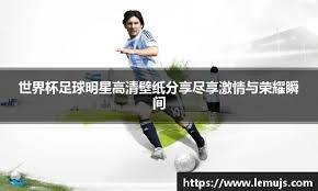 文班亚马最佳新秀，马刺重返季后赛